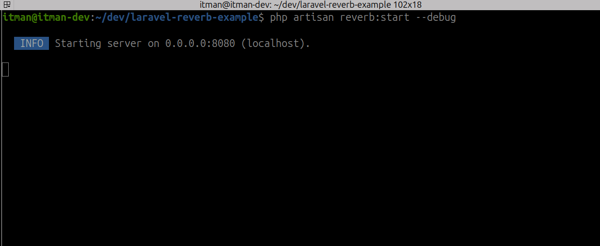 اجرای پروژه لاراول reverb